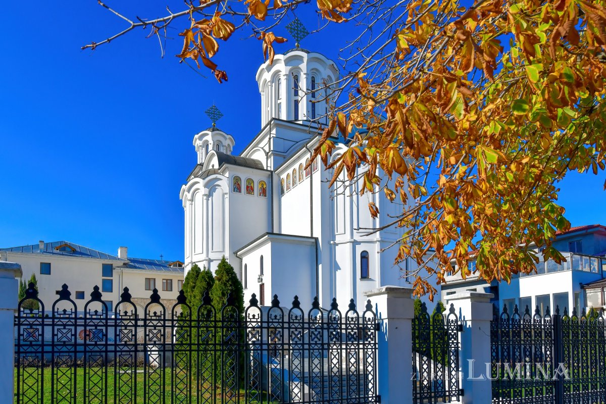 Frumuseţea creaţiei zugrăvită în mozaicurile unei stavropighii patriarhale 197050