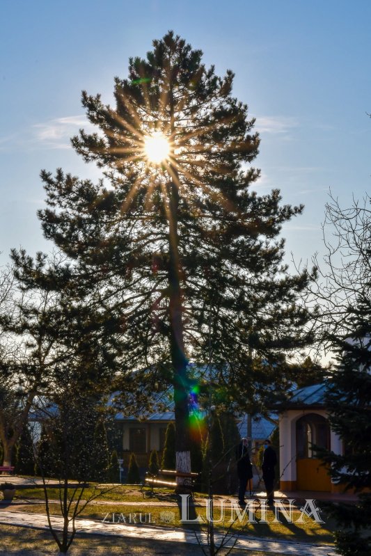 O nouă raclă pentru moaștele Sfântului Irodion de la Lainici, la Mănăstirea Pasărea 202695