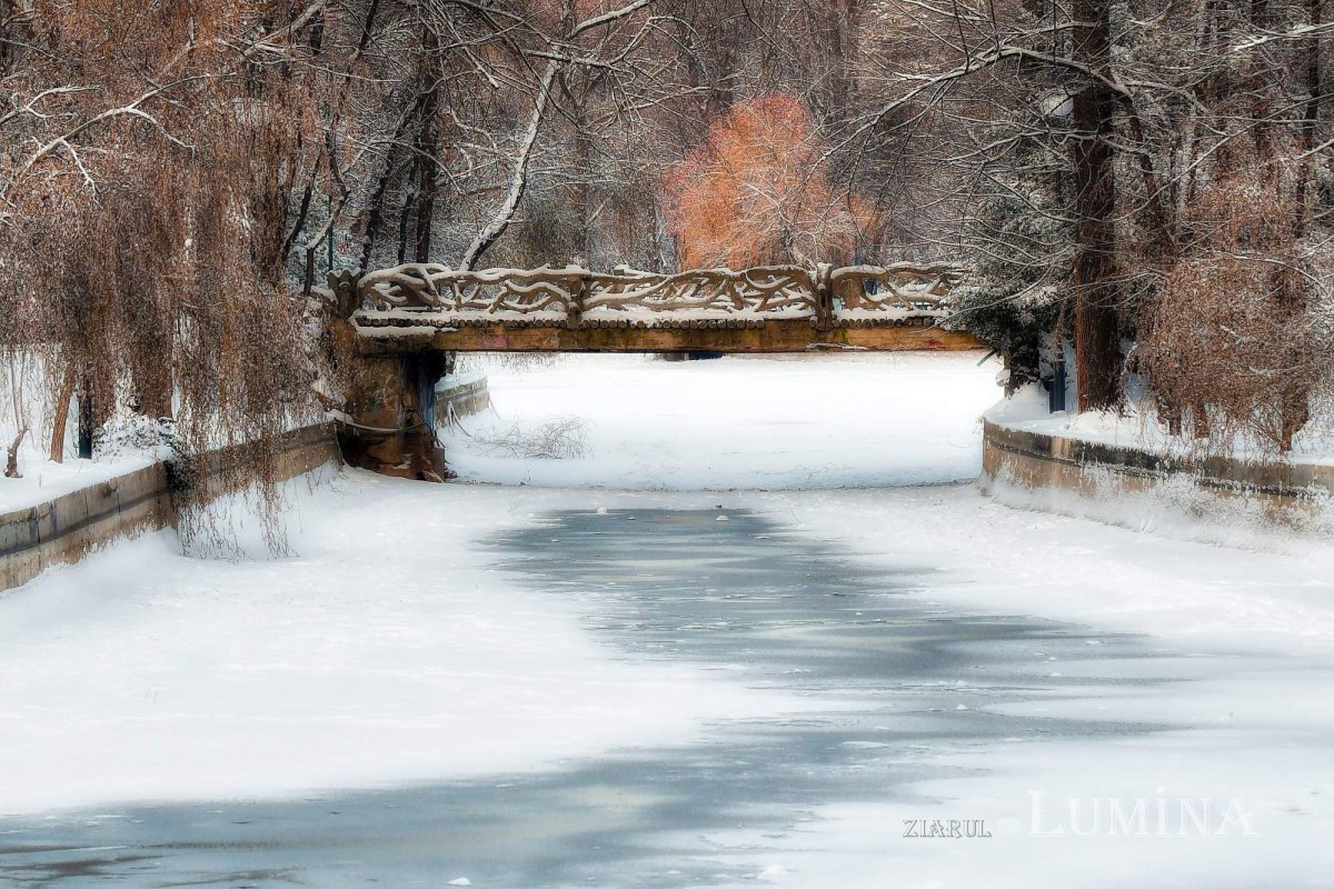 Fotografii artistice ale Publicațiilor Lumina 203177