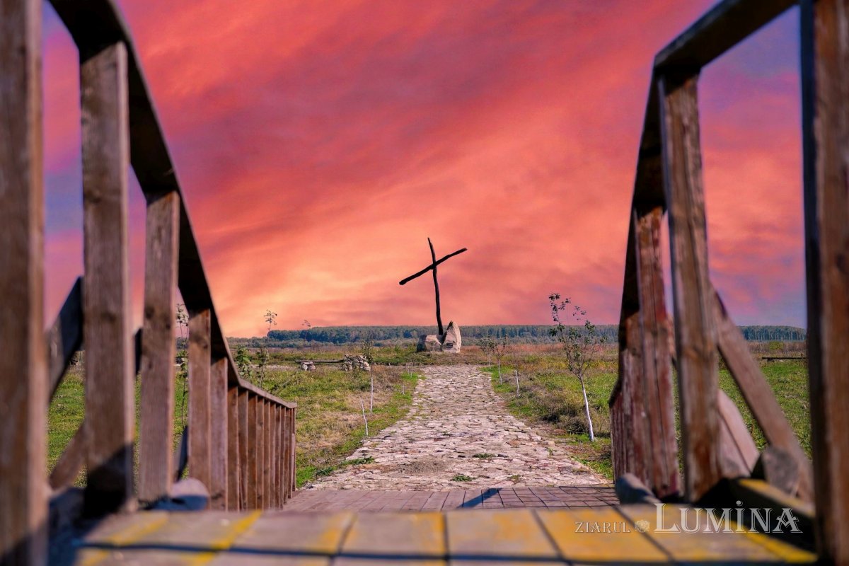 Fotografii artistice ale Publicațiilor Lumina 203178