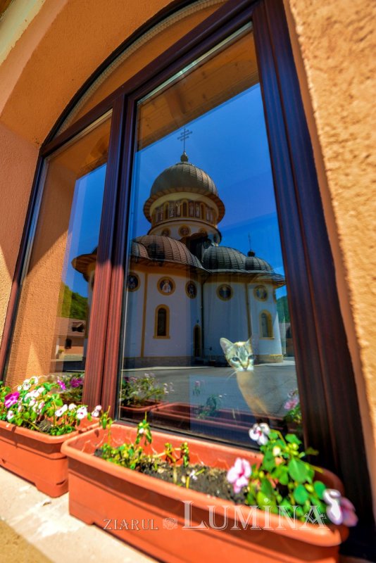 Fotografii artistice ale Publicațiilor Lumina 203179