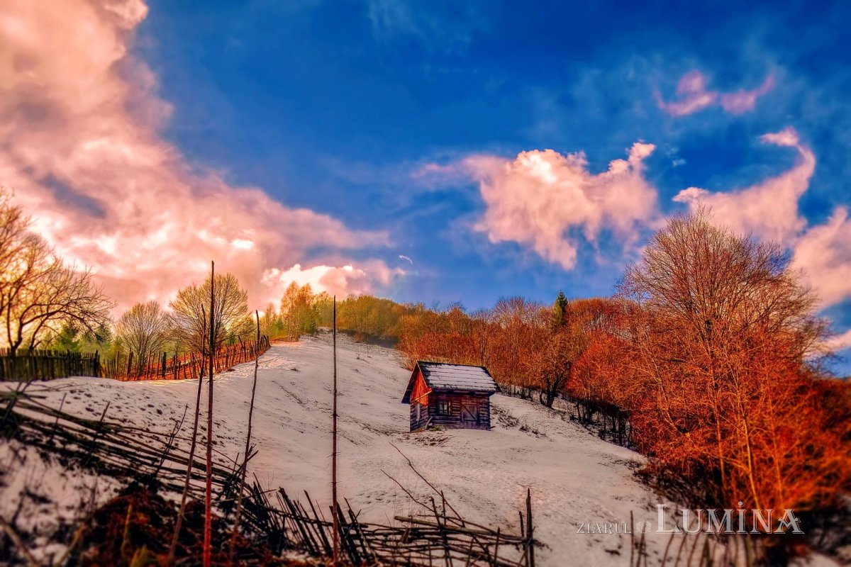 Fotografii artistice ale Publicațiilor Lumina 203181