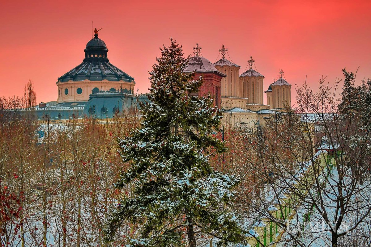 Fotografii artistice ale Publicațiilor Lumina 204475