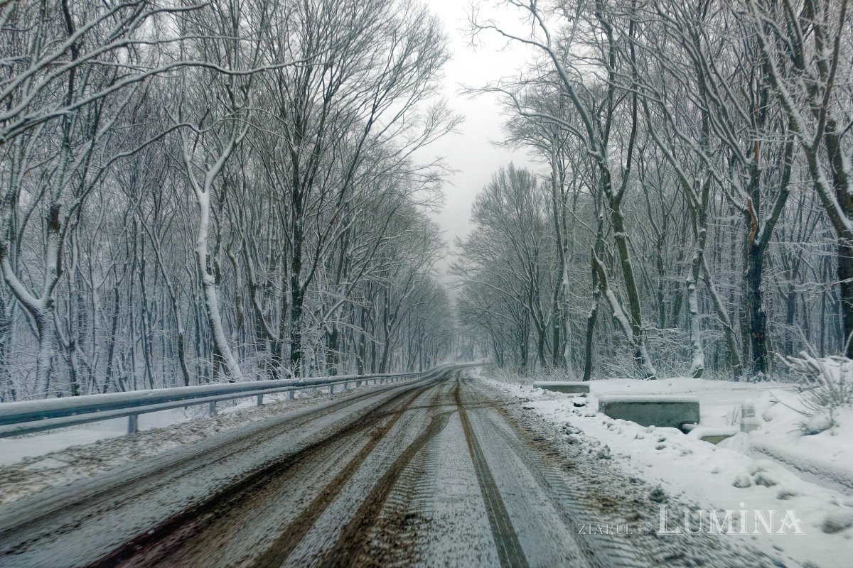 România pentru Ucraina 205224