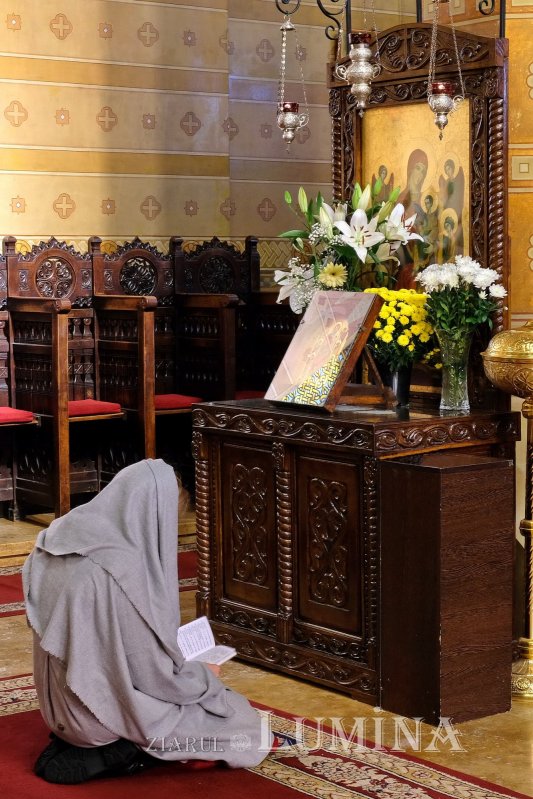 Fotografii artistice ale Publicațiilor Lumina 205306