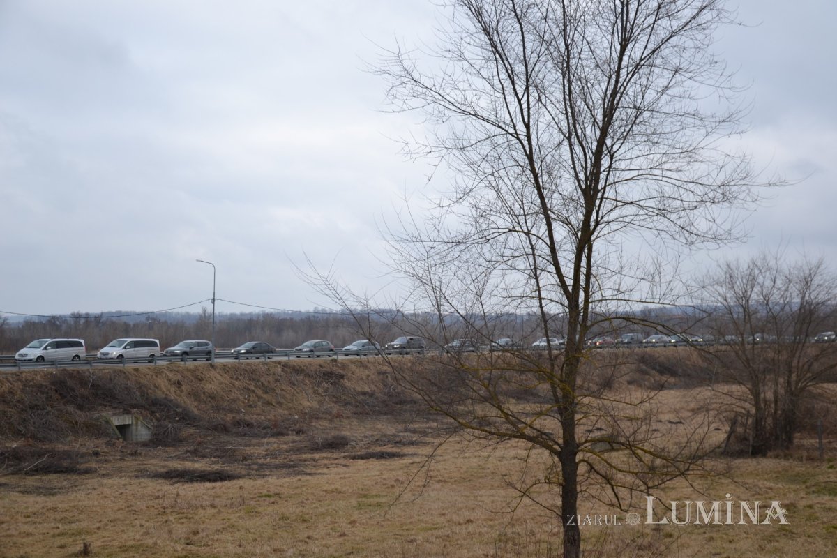 Copiii refugiului 205455