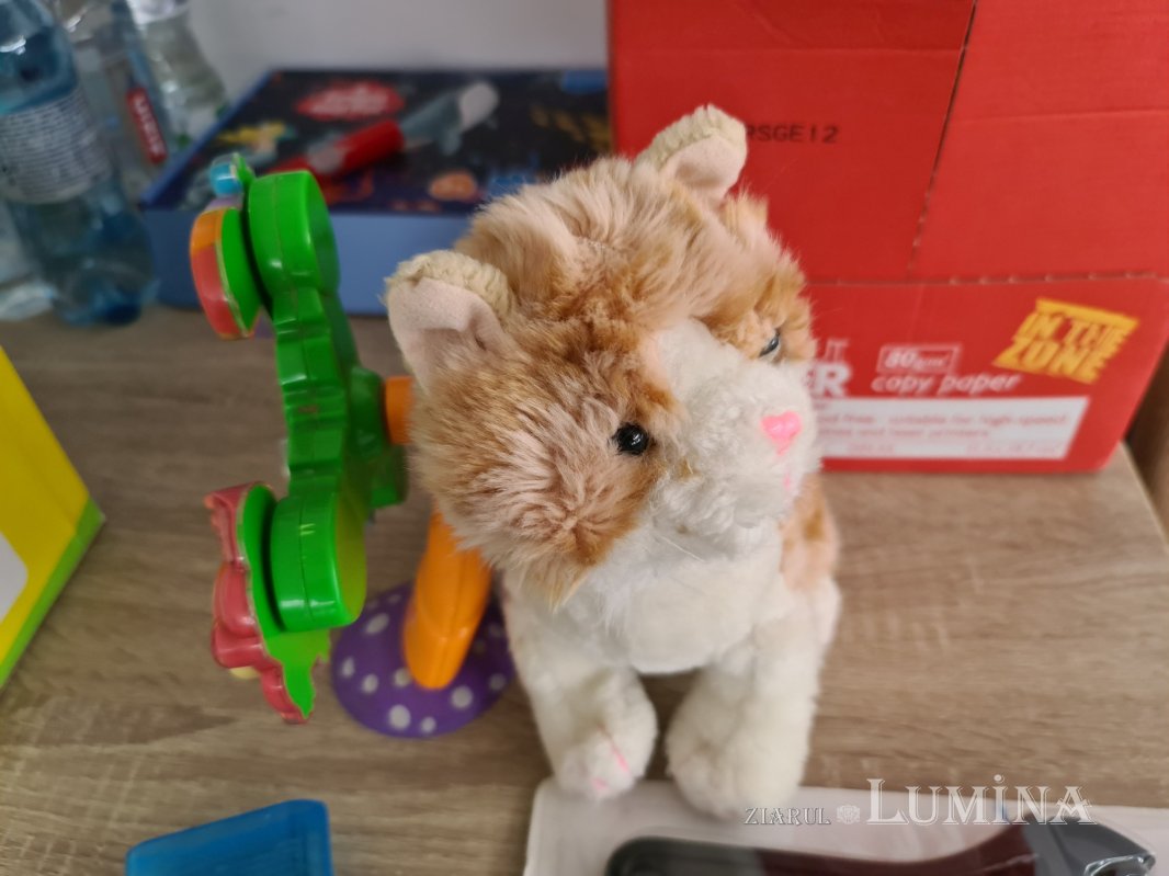 Copiii refugiului 205457