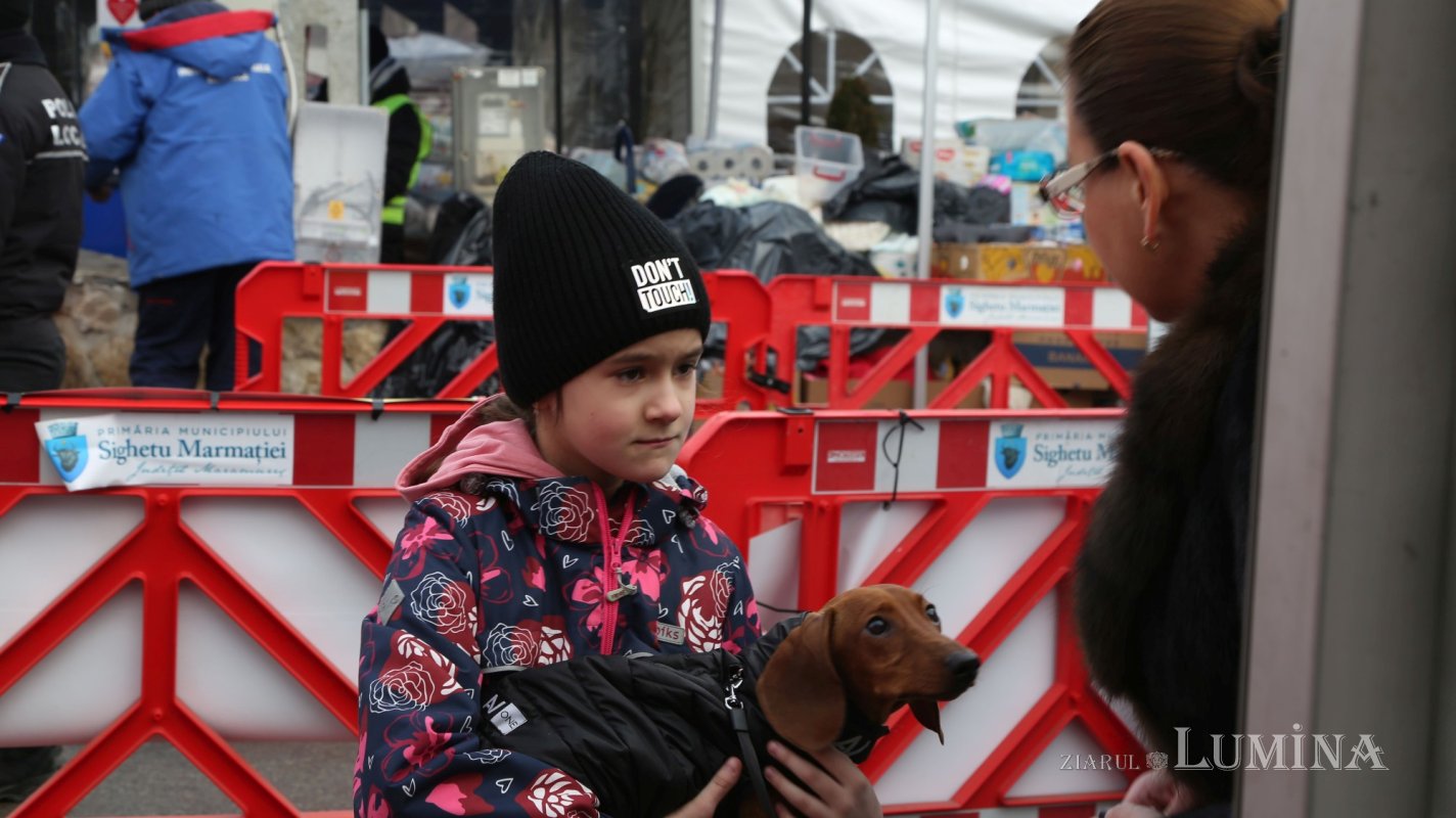 Zi şi noapte alături de refugiaţii care ajung la Sighetu Marmaţiei 205696