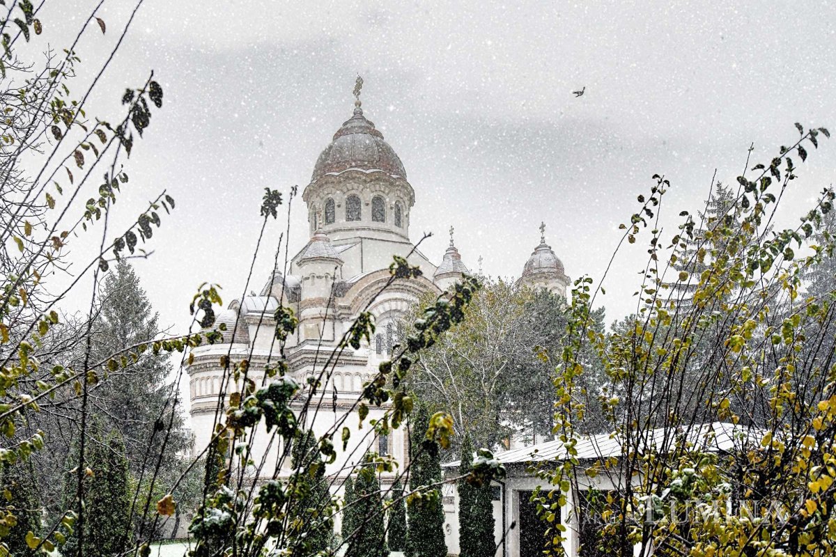 Fotografii artistice ale Publicațiilor Lumina 206013