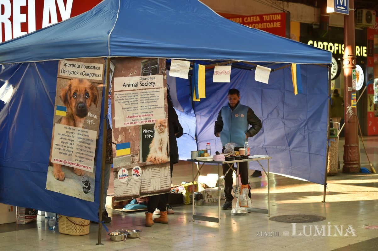 Gara sufletelor noastre 206685