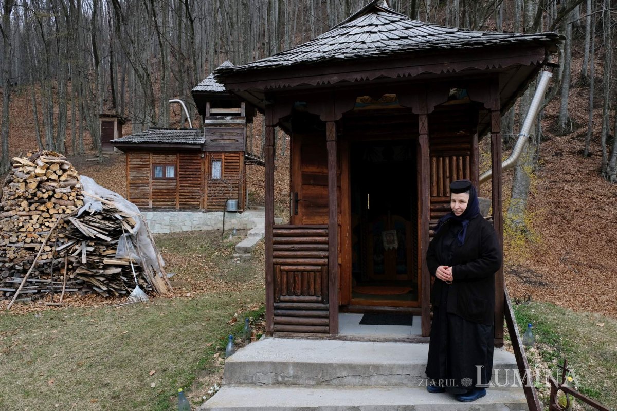 Fotografii artistice ale Publicațiilor Lumina 206828