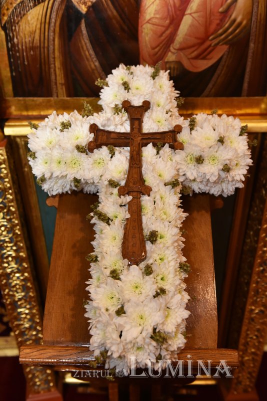 „Asumarea crucii înseamnă smerenia de a transforma suferința în speranță” 207913