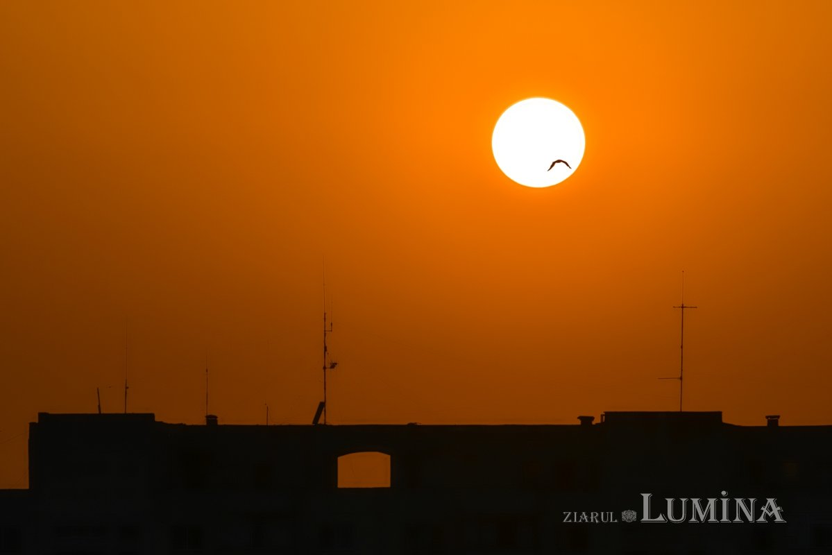 Fotografii artistice ale Publicațiilor Lumina 209039