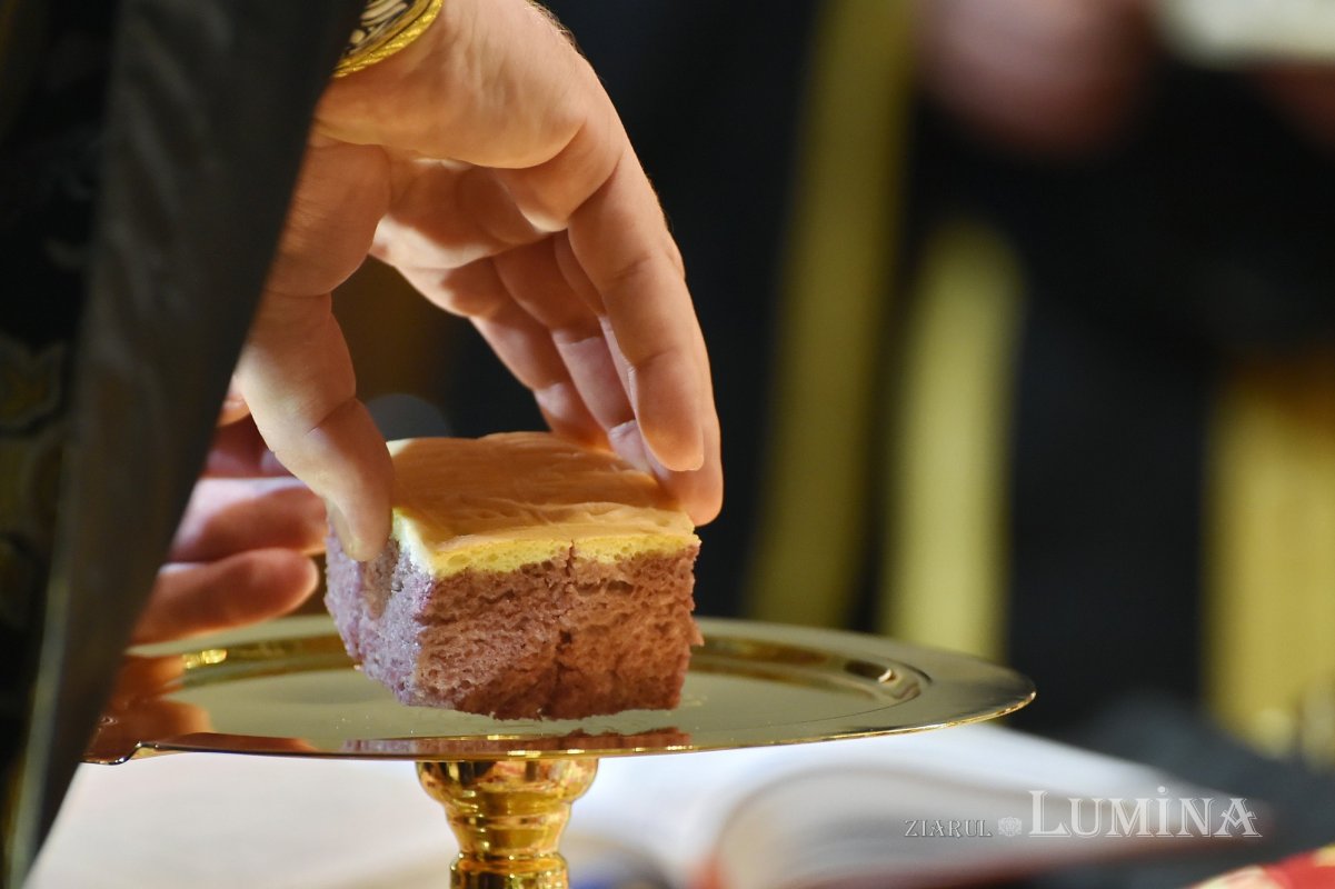 Cinstirea Sfântului Ierarh Calinic la Mănăstirea Cernica 209354