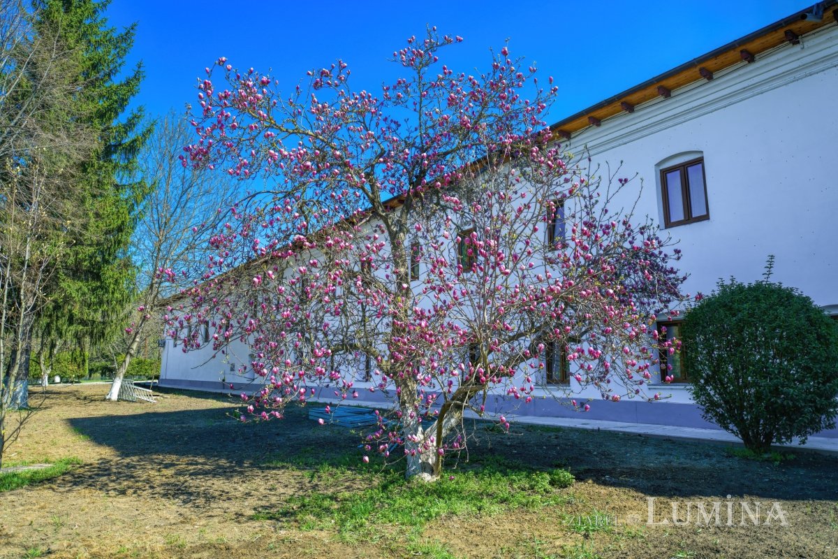 Sfântul Ierarh Calinic, un ambasador la Dumnezeu 209208