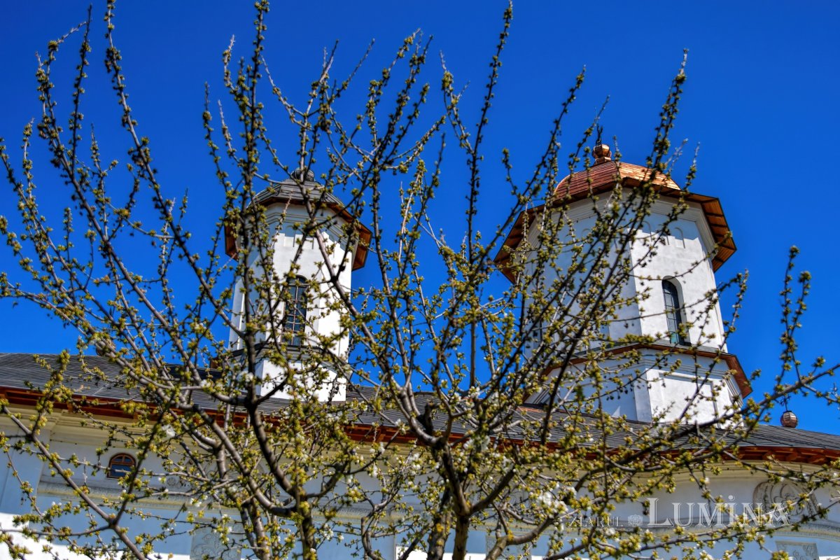 Sfântul Ierarh Calinic, un ambasador la Dumnezeu 209233