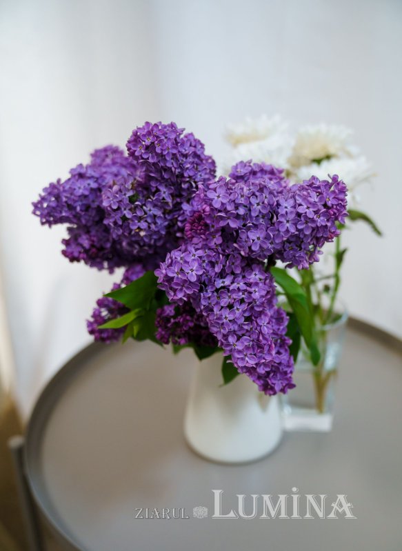 Centrul de consiliere „Sfânta Alexandra Împărăteasa” are un nou sediu 211900