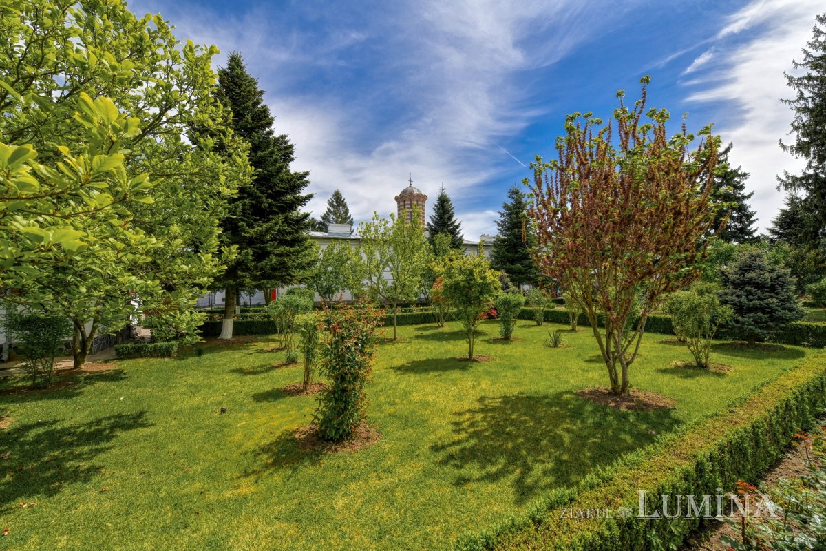 „Femeile mironosițe, dascăli ai evlaviei creștine” 212901