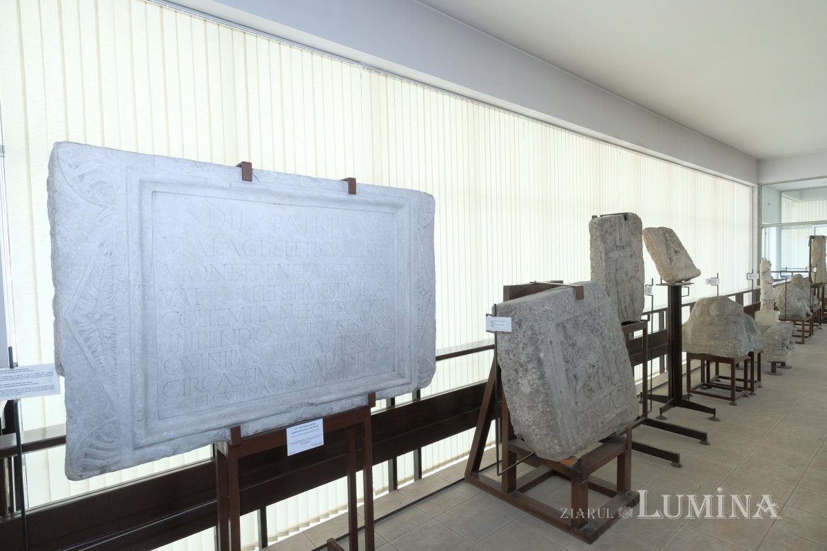 Istoria la ea acasă 214177