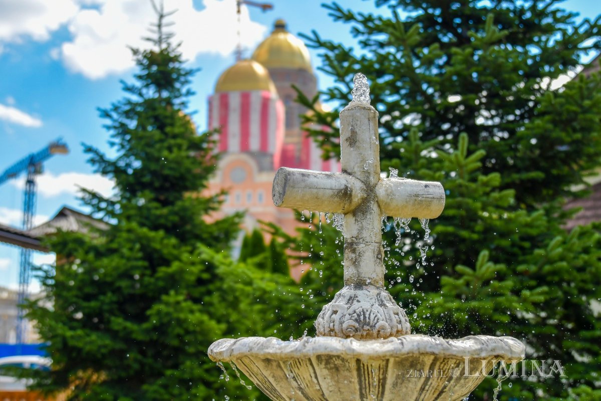 Fotografii artistice ale Publicațiilor Lumina 214372