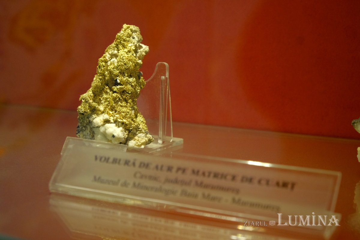 Un muzeu cât un tezaur 217567