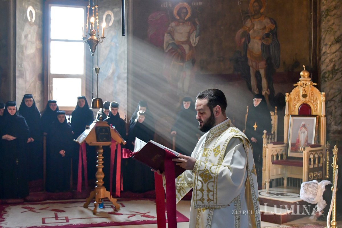 Fotografii artistice ale Publicațiilor Lumina 217725