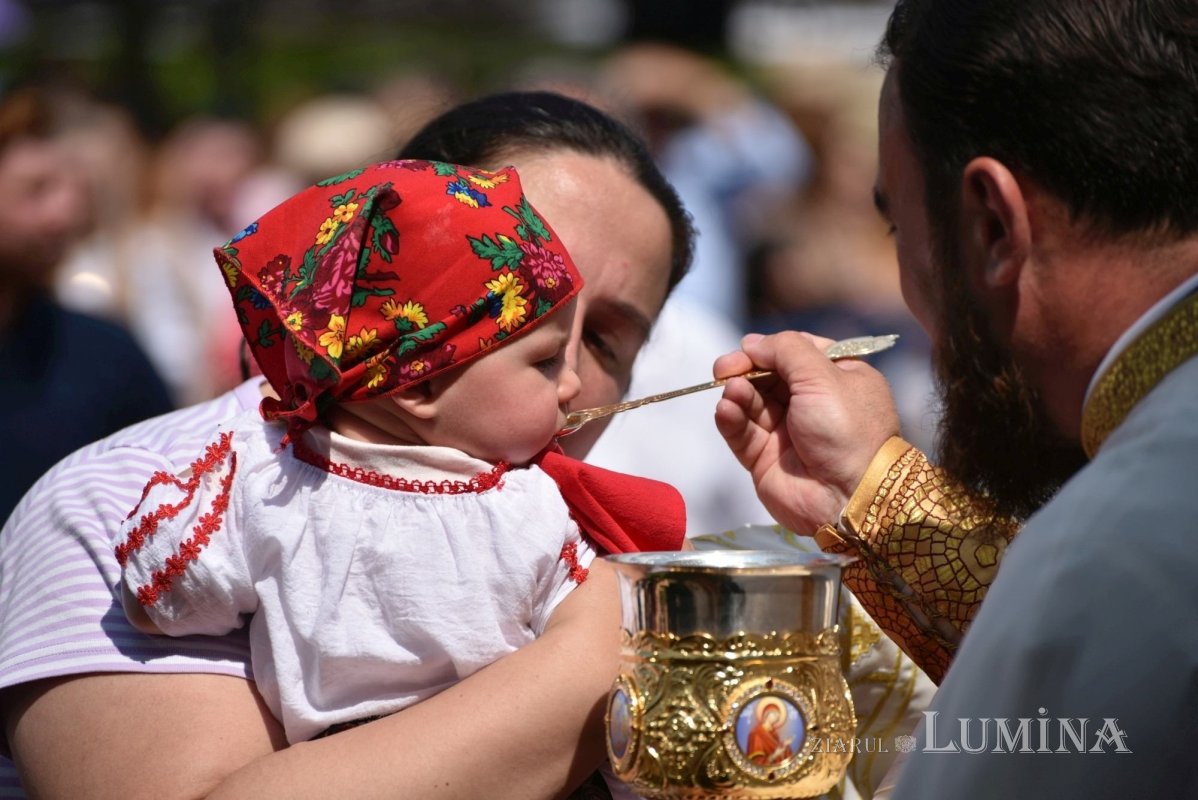 Fotografii artistice ale Publicațiilor Lumina 218284