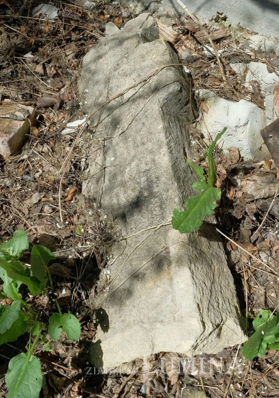 Mănăstirea Chițorani, locul unde se respiră rugăciune 217954