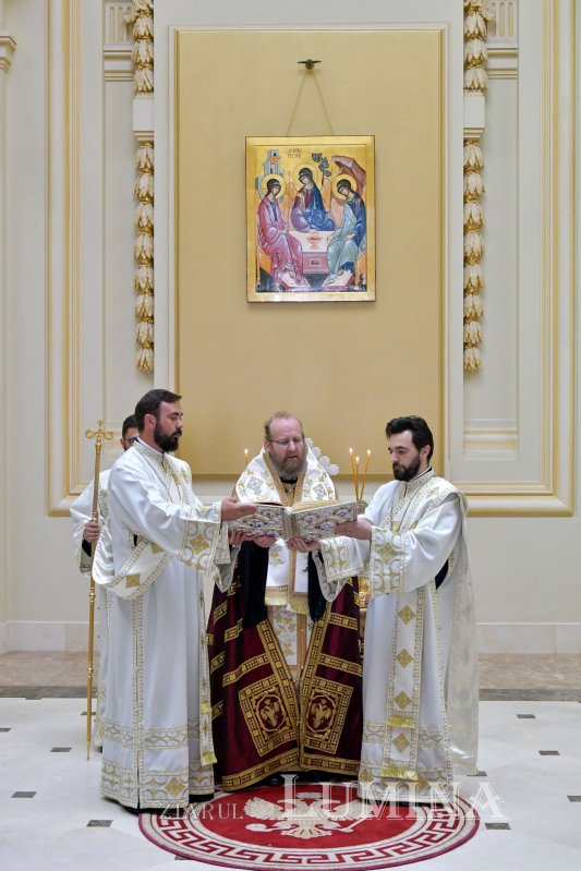 Sfântul Sinod s-a întrunit  în şedinţă de lucru 219533