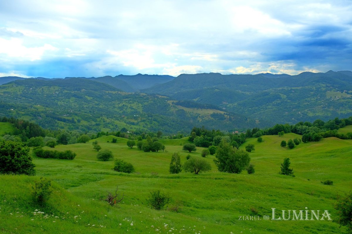 A trăi în duhul Sfântului Vasile de la Poiana Mărului 220822
