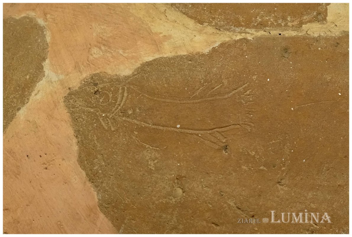 Preoţi cu crucea-n frunte, căci oastea e creştină 221079