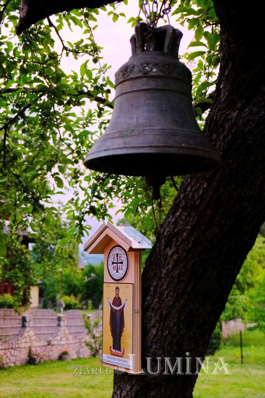 „Am venit de bunăvoie la Hristos, nu constrâns de cineva!” 220763