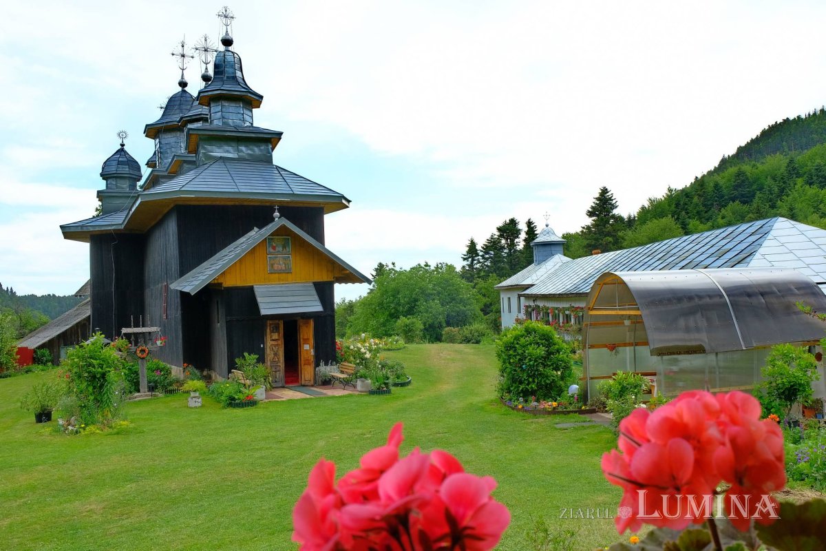 Tăcerea, puterea ziditoare a Mănăstirii Găvanu 223656