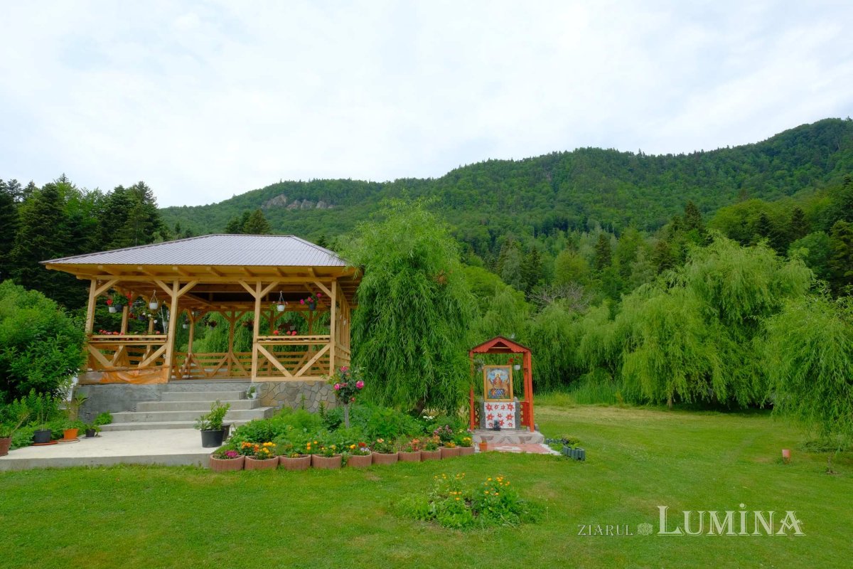 Tăcerea, puterea ziditoare a Mănăstirii Găvanu 223659