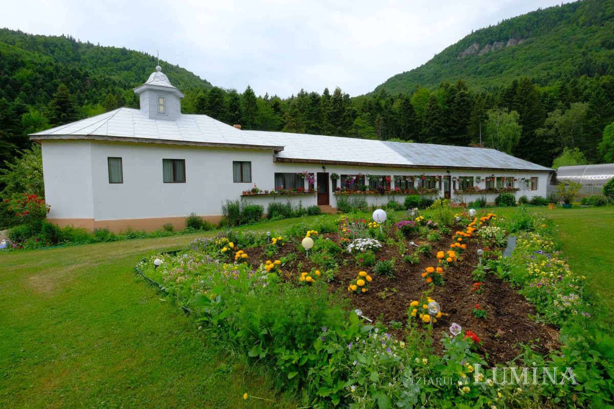 Tăcerea, puterea ziditoare a Mănăstirii Găvanu 223667