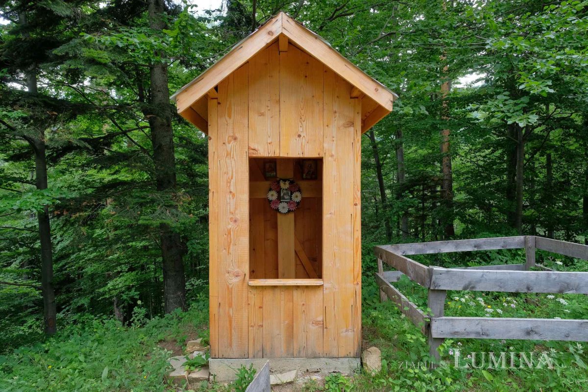 Tăcerea, puterea ziditoare a Mănăstirii Găvanu 223669