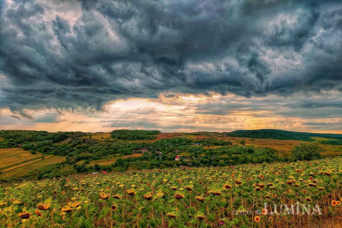Fotografii artistice ale Publicațiilor Lumina 223858