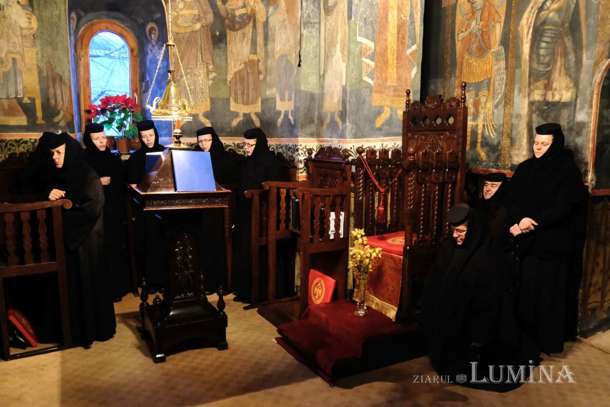 Fotografii artistice ale Publicațiilor Lumina 225686