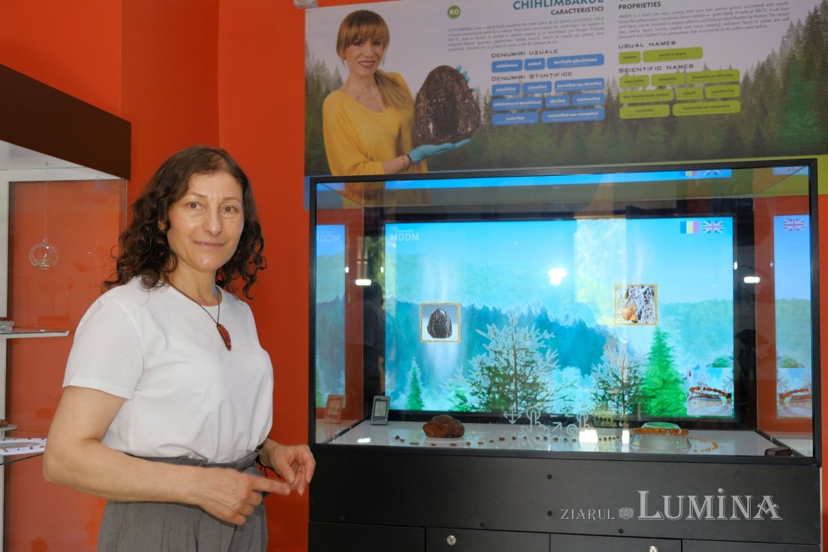 Bijuterii din rănile arborilor preistorici 226176