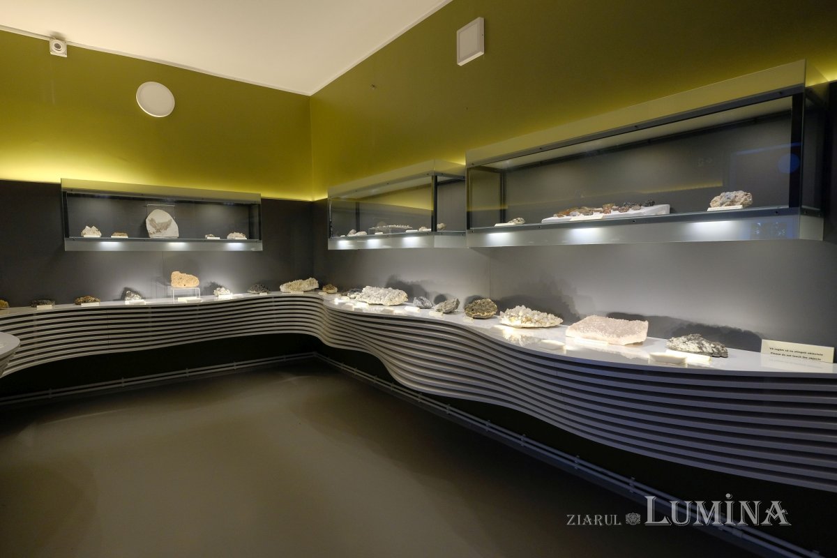 Bijuterii din rănile arborilor preistorici 226179