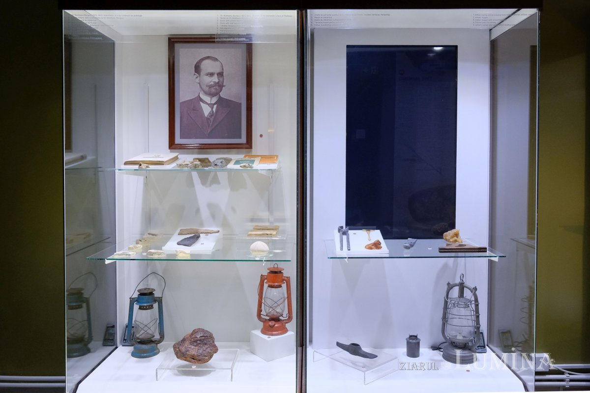 Bijuterii din rănile arborilor preistorici 226180