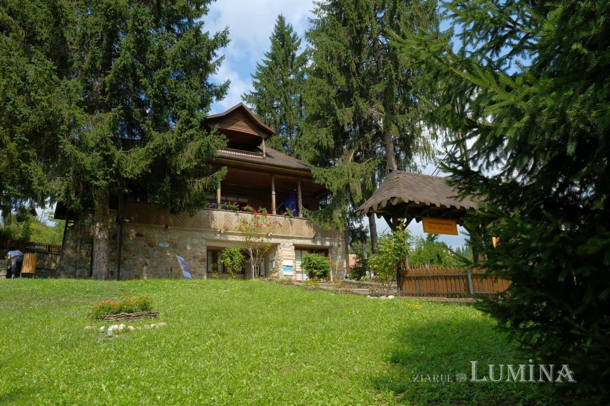 Bijuterii din rănile arborilor preistorici 226181