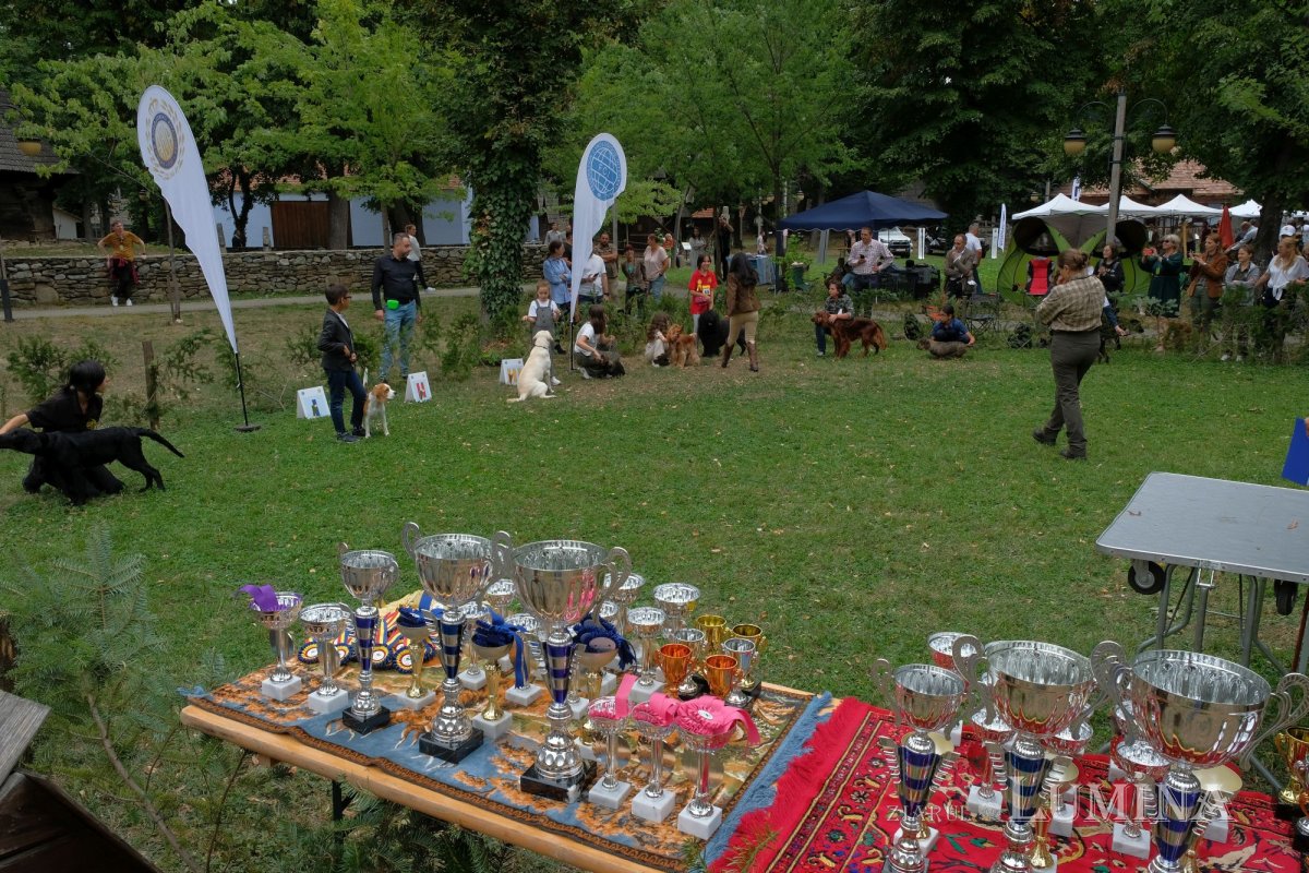 Procesiune cu moaștele Sfântului Eustație la Muzeul Național al Satului 226688