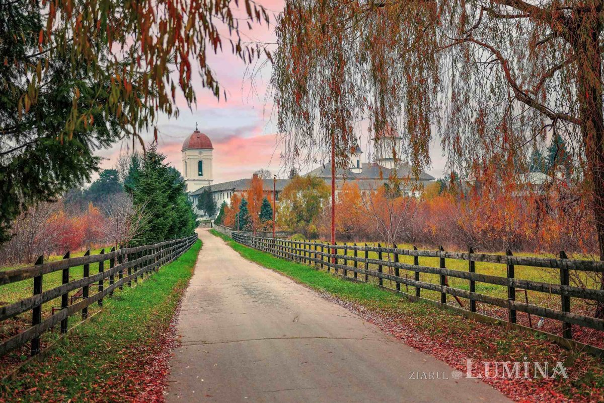 Fotografii artistice ale Publicațiilor Lumina 228746