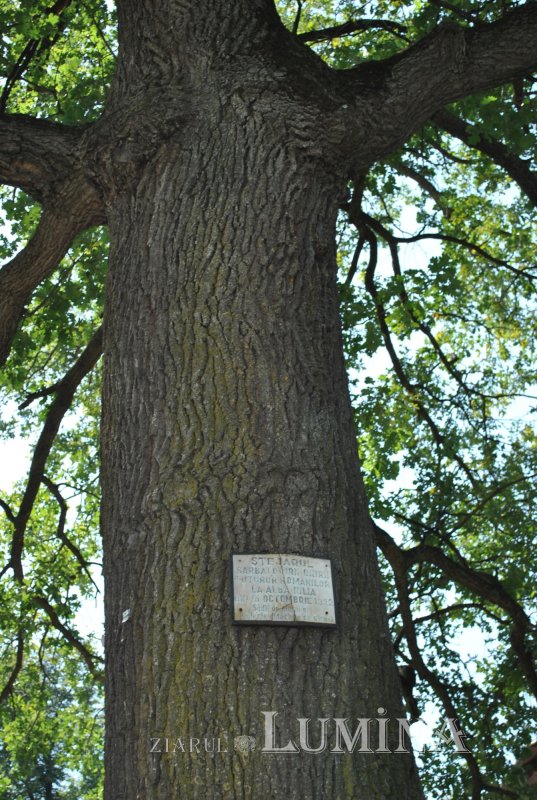 Un secol de la încoronarea regilor României întregite 229635