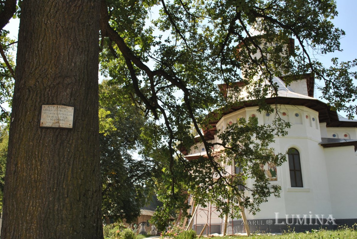 Un secol de la încoronarea regilor României întregite 229636