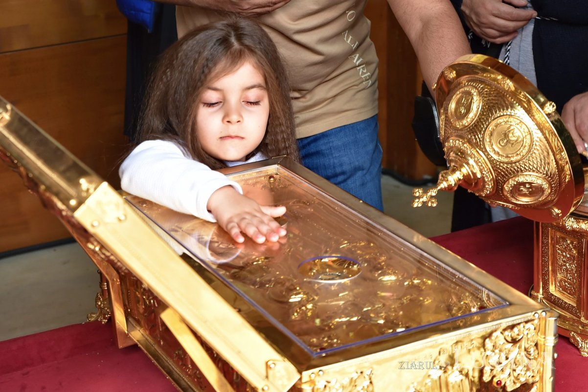 Pelerini pe Colina Bucuriei la sărbătoarea Sfântului Cuvios Dimitrie cel Nou, Ocrotitorul Bucureştilor 232042