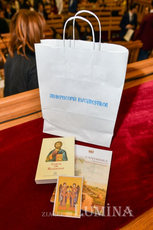 Gala voluntarilor „Tineri în acțiune!” la Palatul Patriarhiei 233591