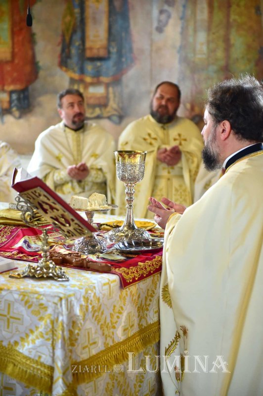 Fotografii artistice ale Publicațiilor Lumina 234488