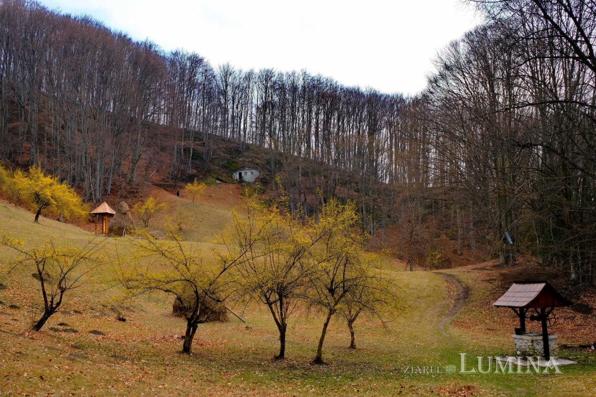 Fotografii artistice ale Publicațiilor Lumina 234489